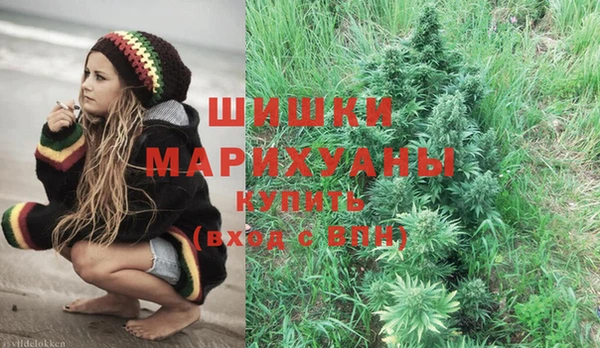 гашик Михайловка