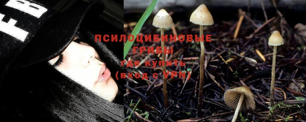 apvp Михайловск