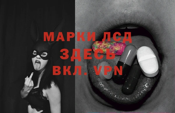 гашик Михайловка
