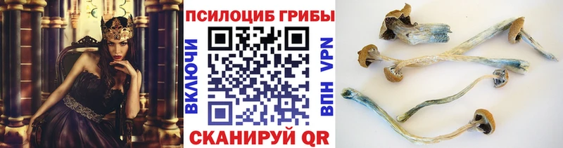 Галлюциногенные грибы прущие грибы  Никольск 